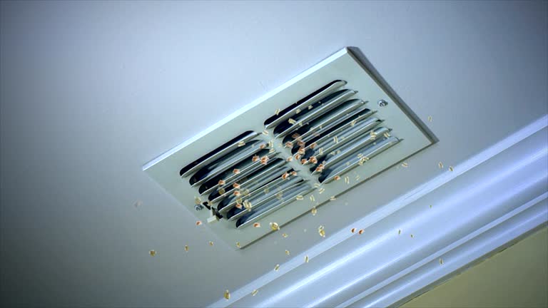 Best Ventilation Cleaning Services  in Greenville, PA
