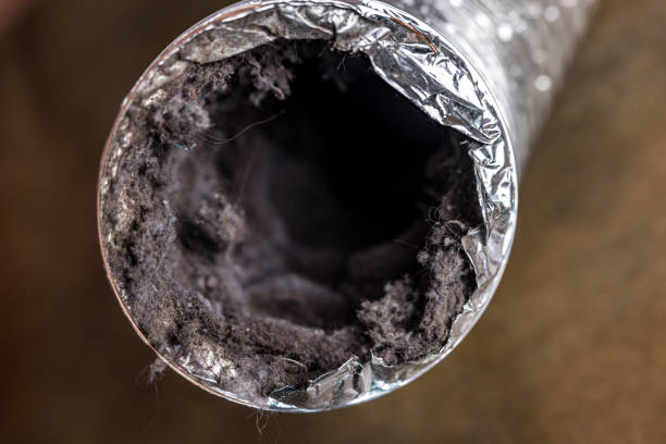 Best HVAC Duct Inspection Services  in Greenville, PA