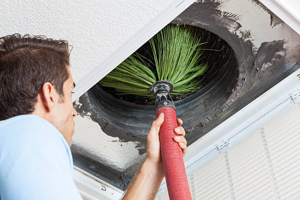 Best Professional Duct Cleaning Services  in Greenville, PA
